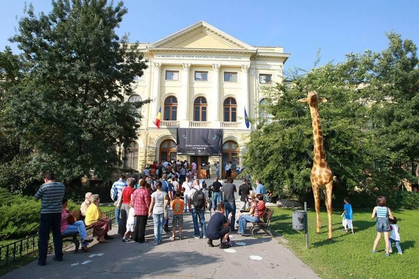 Muzeul Național de Istorie Naturală „Grigore Antipa”